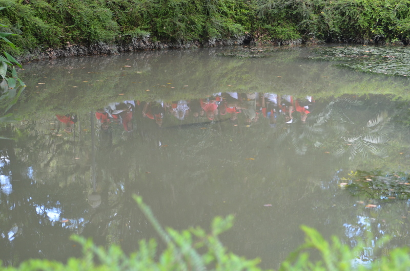0429 DSC 5742